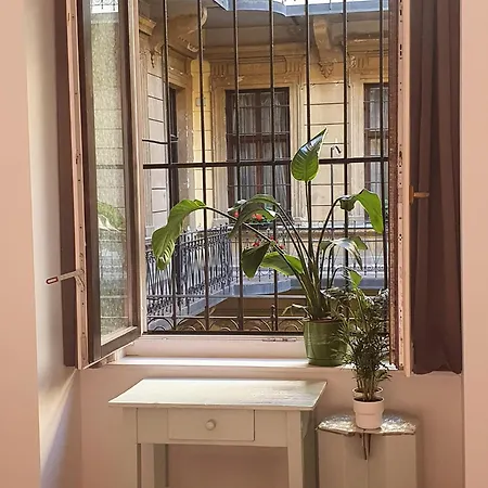 Museum Homestay